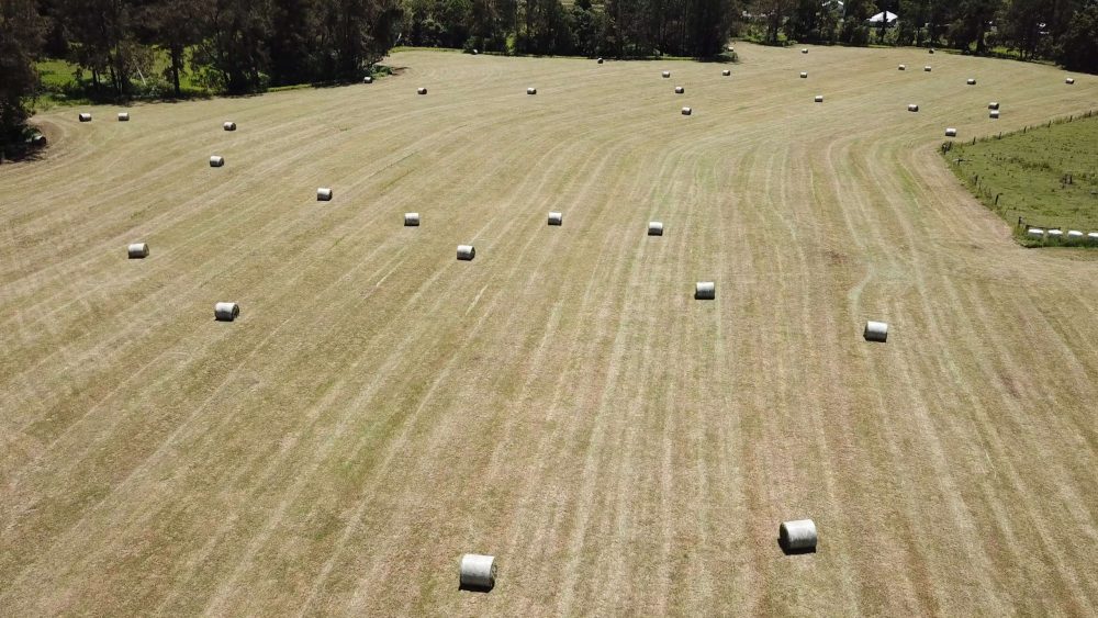 Hay Bales