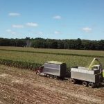 Video 14-4-18, 9 20 08 pm.00_00_03_20.Still001